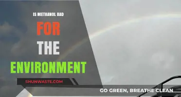 Methanol's Environmental Impact: Harmful Effects and Sustainable Alternatives