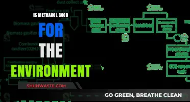 Methanol's Environmental Impact: A Sustainable Fuel Alternative or Hazard?