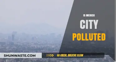 Mexico City's Pollution Problem: Is It Getting Better?