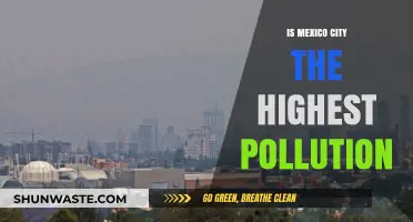Mexico City's Pollution: The Highest in the World?