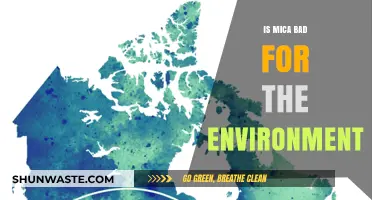 Mica's Environmental Impact: Uncovering the Hidden Costs of Its Use