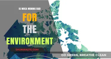 Mica Mining's Environmental Impact: Uncovering the Hidden Costs