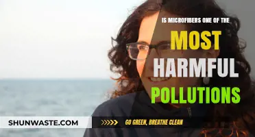 Microfibers: A Hidden Pollution Hazard
