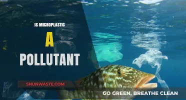 Microplastics: A Growing Environmental Pollutant and Health Concern