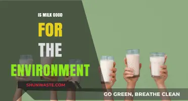Is Milk Eco-Friendly? Exploring Dairy's Environmental Impact and Sustainability