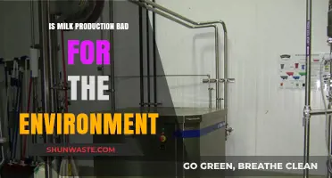 Milk Production's Environmental Impact: Sustainable or Harmful for Our Planet?