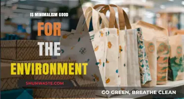 Minimalism's Eco-Impact: Sustainable Living or Just a Trend?