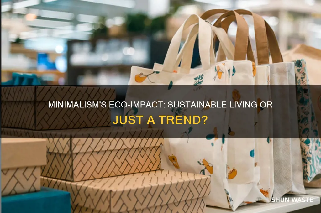 is minimalism good for the environment
