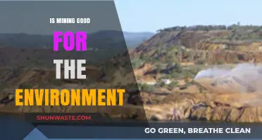 Mining's Environmental Impact: Sustainable Practices vs. Ecological Consequences