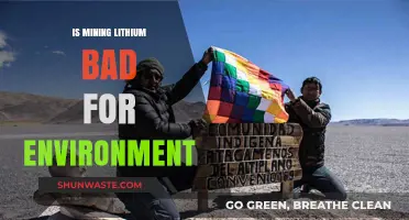 Lithium Mining's Environmental Impact: Sustainable or Harmful Practice?