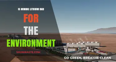 Lithium Mining's Environmental Impact: Sustainable or Harmful Practice?