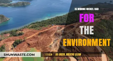Nickel Mining's Environmental Impact: Harmful Effects and Sustainable Solutions