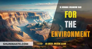 Uranium Mining's Environmental Impact: Risks, Consequences, and Sustainability Concerns