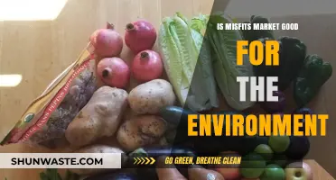 Is Misfits Market Eco-Friendly? Unpacking Its Environmental Impact