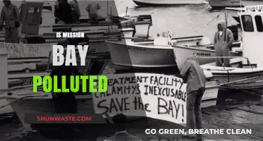 The Pollution Problem in Mission Bay