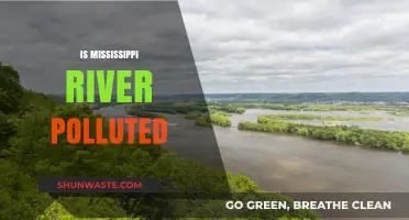 Mississippi River Pollution: A Troubling Concern?