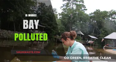 Mobile Bay: A Polluted Paradise?