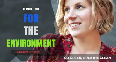 Is Modal Fabric Eco-Friendly? Uncovering Its Environmental Impact