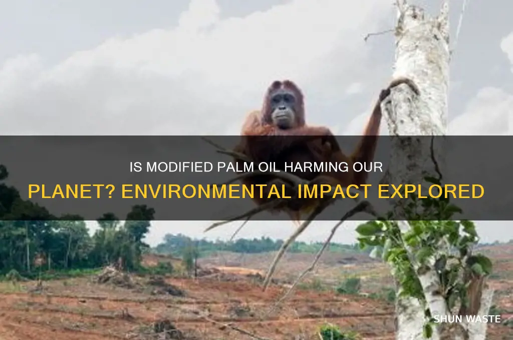 is modified palm oil bad for the environment