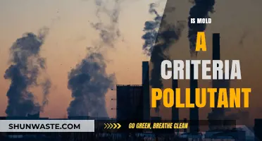 Mold: A Criteria Air Pollutant?