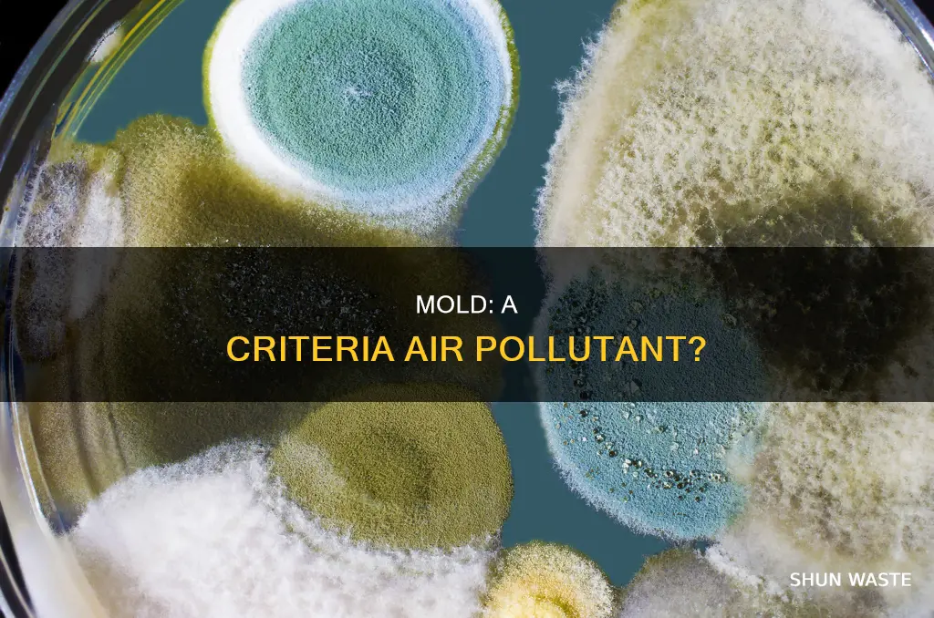 is mold a criteria pollutant