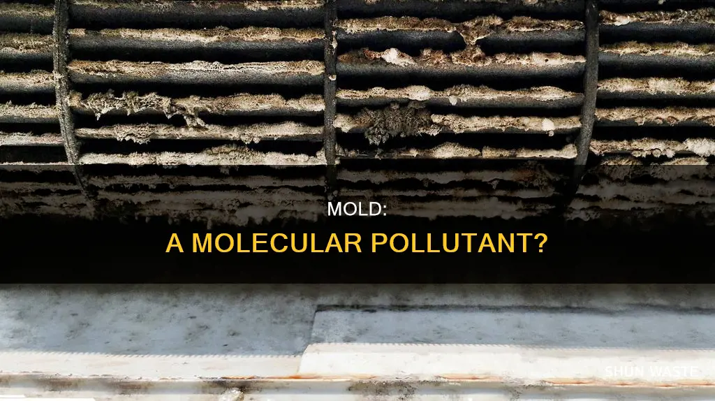 is mold a molecular pollutant