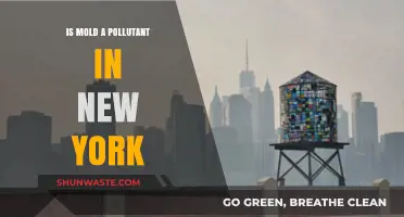 Mold: A Silent Pollutant in New York?