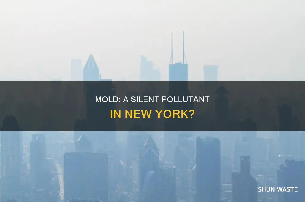 is mold a pollutant in new york