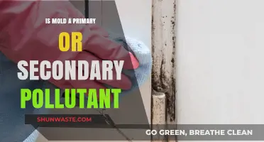 Mold: Primary or Secondary Pollutant?
