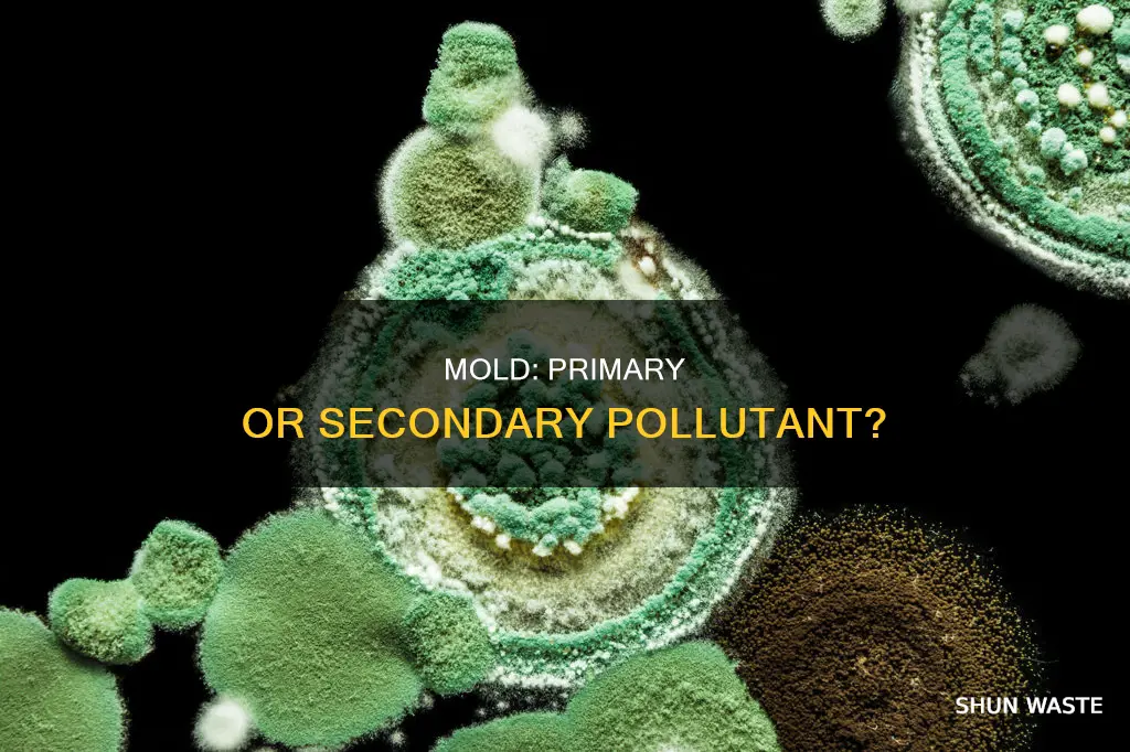 is mold a primary or secondary pollutant