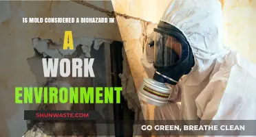 Is Mold a Biohazard in Your Workplace? What You Need to Know