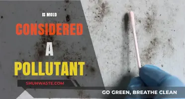 Mold: A Hazardous Pollutant or a Nuisance?