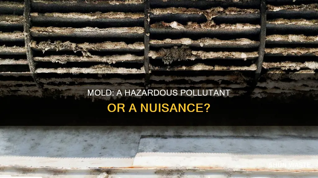 is mold considered a pollutant