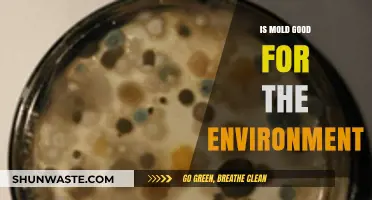 Mold's Ecological Role: Beneficial or Harmful to Our Environment?