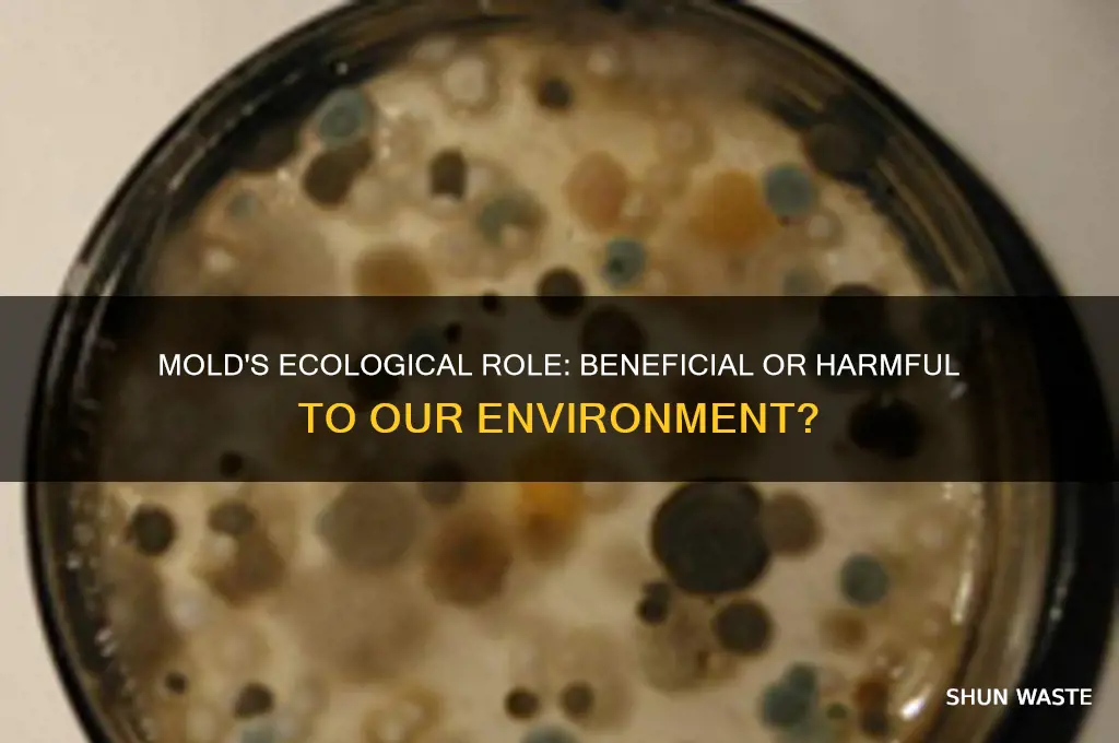 is mold good for the environment