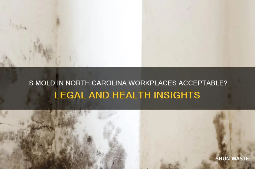 is mold in a nc work place environment acceptable