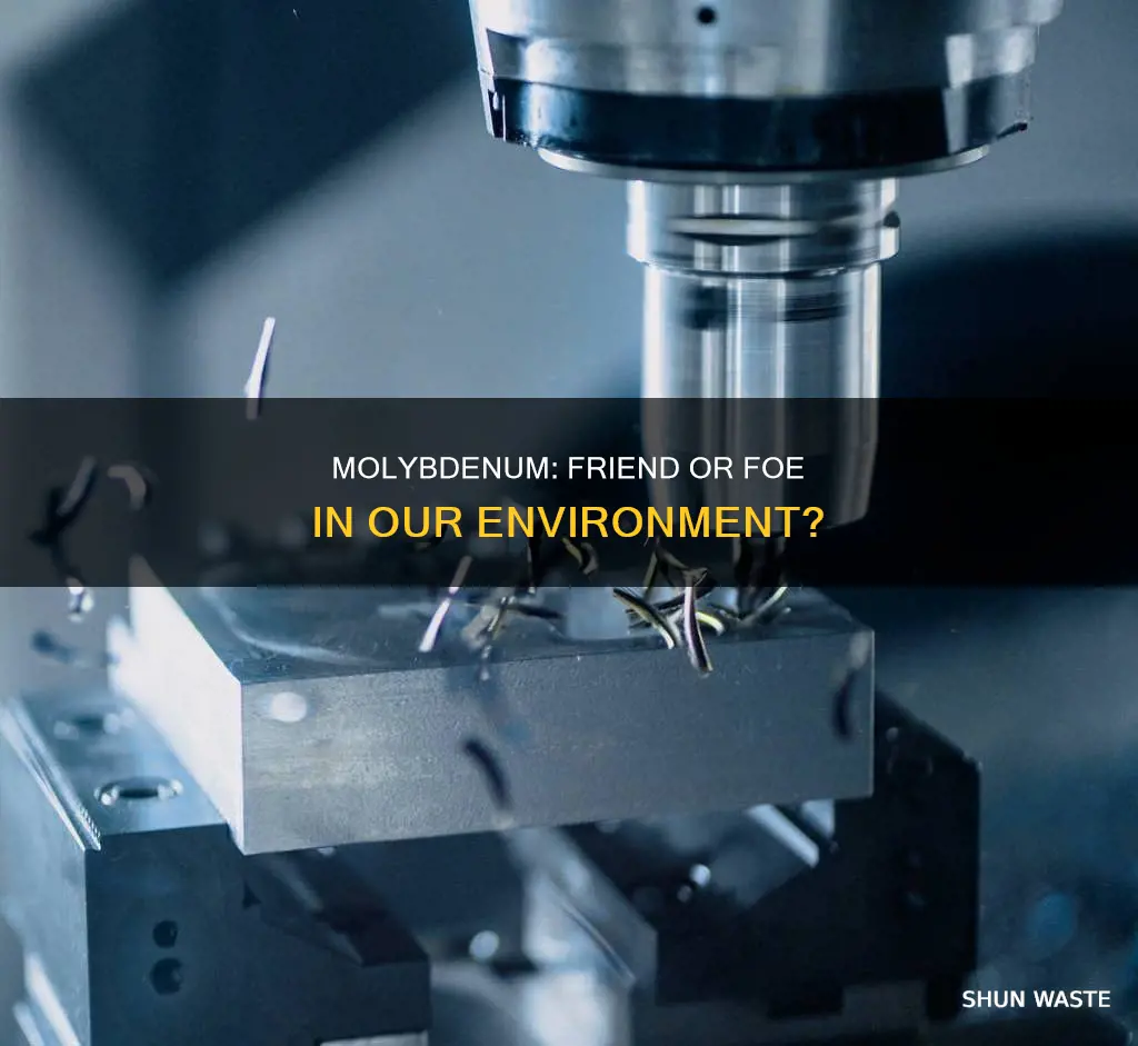is molybdenum a pollutant