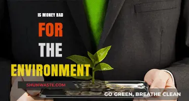 Is Money Harming Our Planet? Exploring the Environmental Cost of Wealth