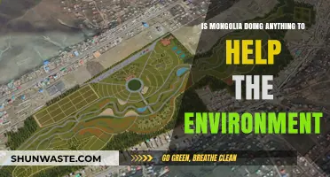 Mongolia's Green Initiatives: Environmental Efforts and Sustainable Practices