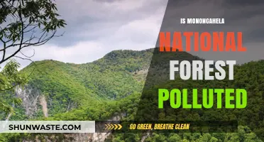 Monongahela National Forest: Pollution Threat or Safe Haven?