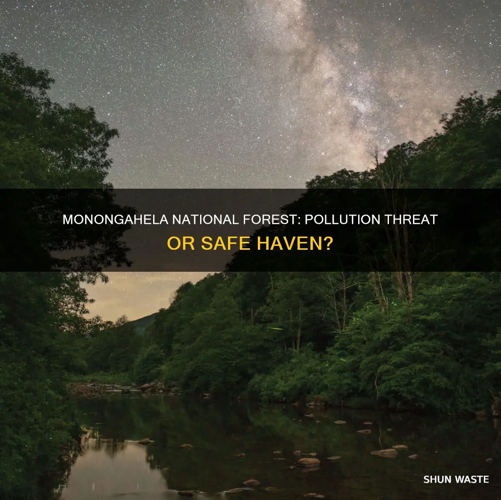is monongahela national forest polluted
