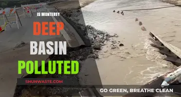 The Monterey Deep Basin Pollution Mystery