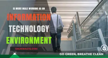 Are More Men Dominating the Information Technology Workforce?