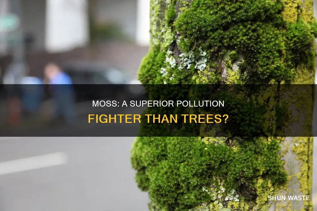 is moss more effective than trees at reducing pollution