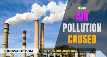 Unveiling the Sources: Who's to Blame for Air Pollution?