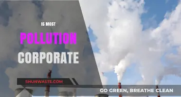 Corporate Pollution: Who's Responsible for the Damage?