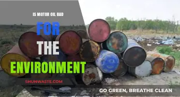 Motor Oil's Environmental Impact: Harmful Effects and Sustainable Alternatives