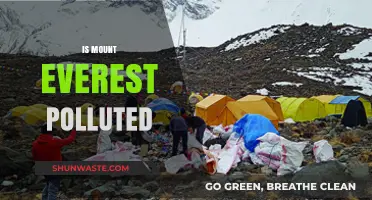 Everest's Pollution Problem: A Troubling Reality