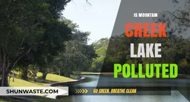Mountain Creek Lake: Polluted or Pristine?