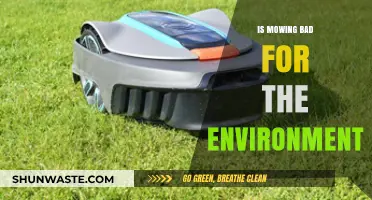 Mowing's Environmental Impact: Harmful or Harmless for Our Planet?